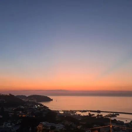 Dodohome * Ischia