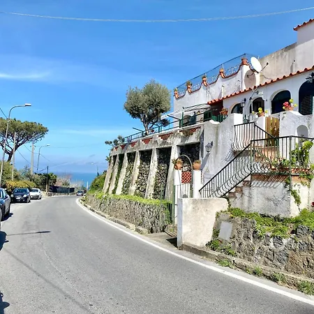 Dodohome * Ischia